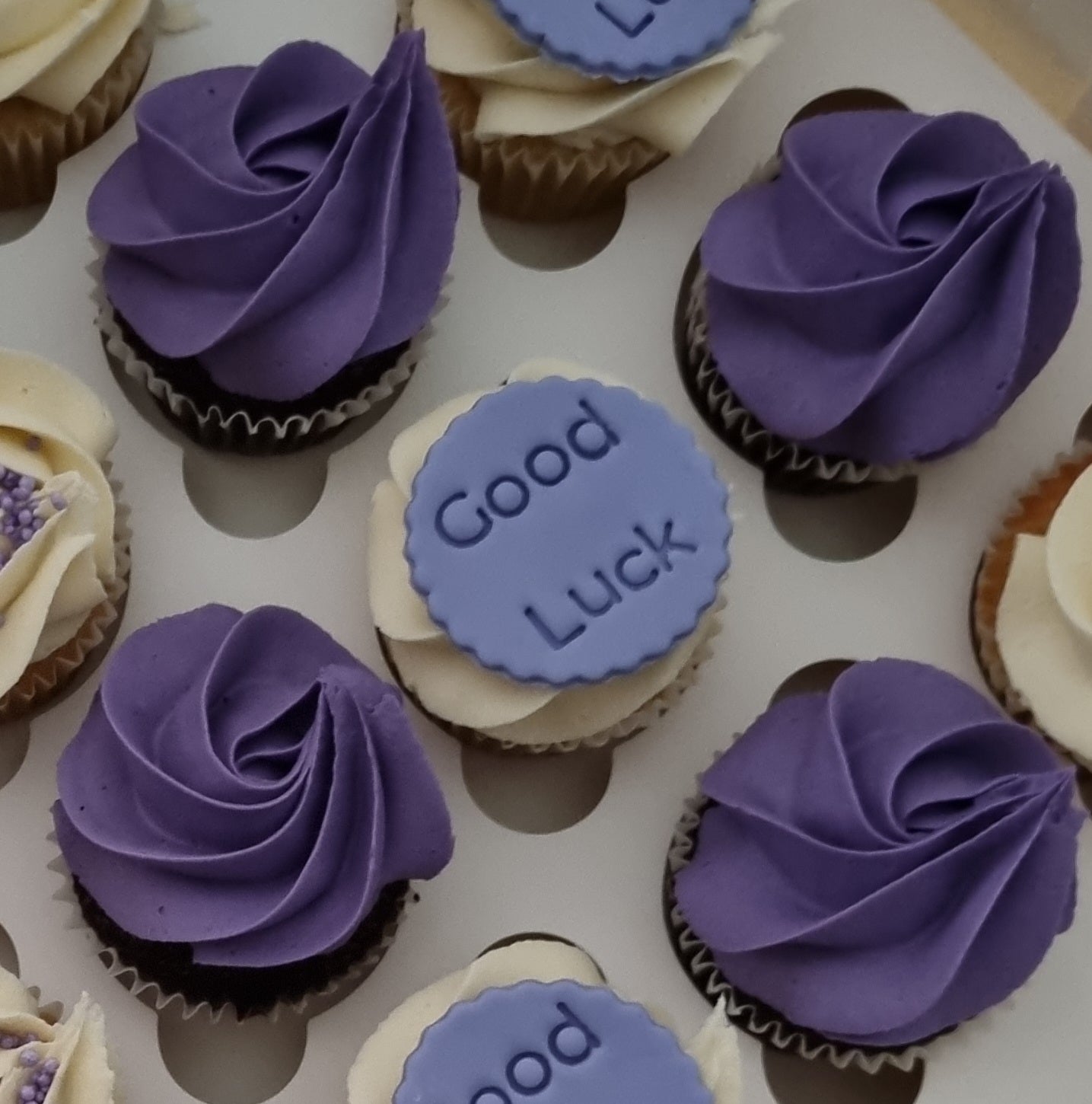Mini Fondant Embossed Cupcakes